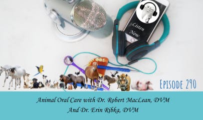 692dd850901520695948131a 243website15