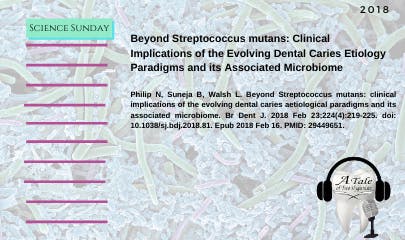 692dd8559015206959481350 March19