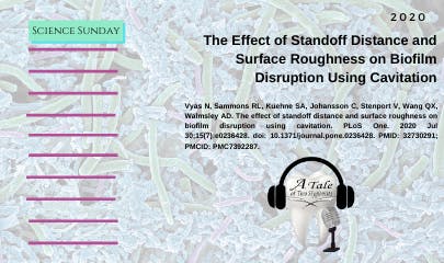 692dd8e19015206959481880 Theeffectofstandoffdistanceandsurfaceroughnessonbi