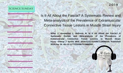 692dd92b9015206959481b5b Fascia