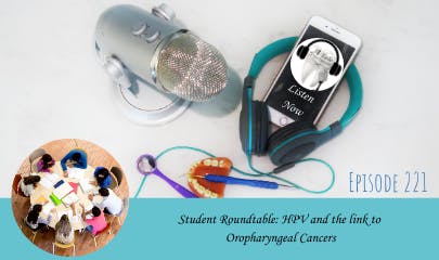 692dd98b9015206959481ec2 221website